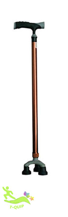 Walking Stick with Tripod Base